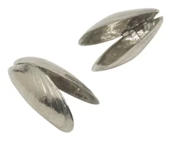 Oldenhof Zeeuws Mosselbestek Zilvertin 2 Stuks