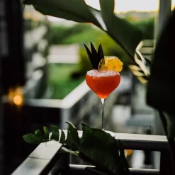 Nude Fantasy Cocktailglazen 675 Ml Kristalglas 2 Stuks -Beroemde Servies Winkel image1 700x