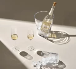 Nude Stem Zero Champagneglas 300 Ml -Beroemde Servies Winkel zero champagne 3